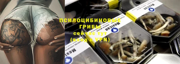 хмурый Алексеевка