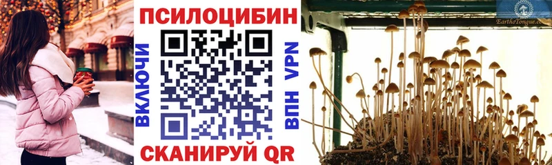 Галлюциногенные грибы MAGIC MUSHROOMS Сосновоборск
