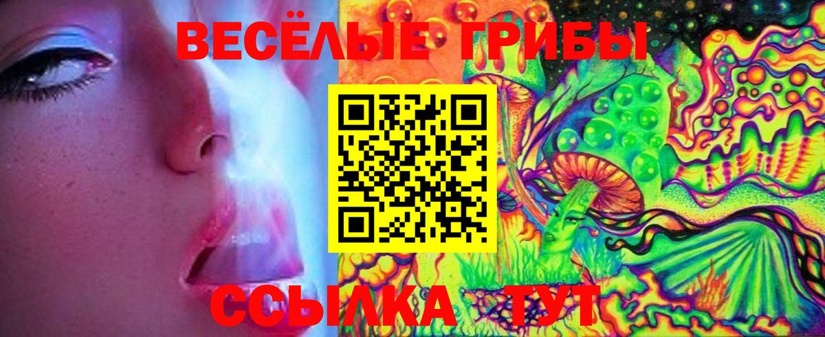 Галлюциногенные грибы прущие грибы Сосновоборск