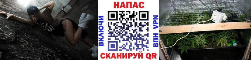 купить наркоту  блэк спрут как войти  Бошки марихуана тримм  Сосновоборск 